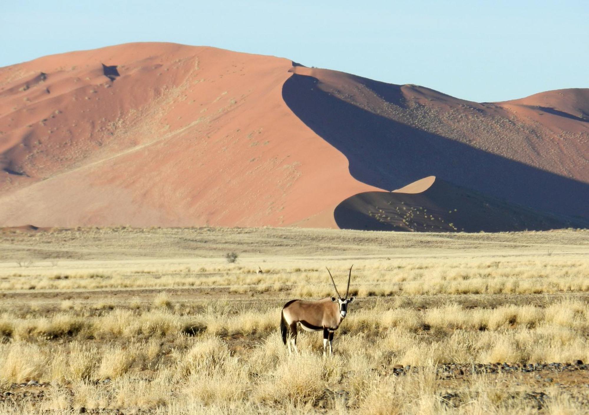 Sossusvlei Lodge Sesriem Exteriör bild